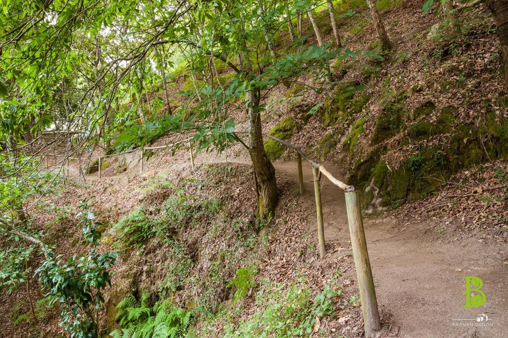 Quinta Da Bouca - Agroturismo Pacos de Gaiolo Ruang foto