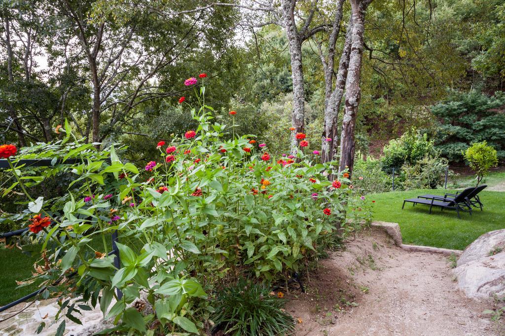 Quinta Da Bouca - Agroturismo Pacos de Gaiolo Ruang foto